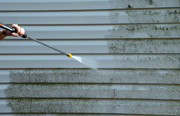 Best Building Exterior Washing  in Midway South, TX